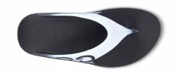 Oofos Unisex OOriginal Sport Sandal -Darn Tough Shop 1001CLD 6