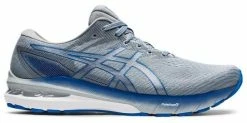 Asics Men's GT-2000 10