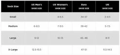 Feetures Elite Max Cushion No-Show Tab Running Socks - (EC50) 12 Feetures Elite Max Cushion No-Show Tab Running Socks - (EC50) -Darn Tough Shop Annotation 2020 01 20 144225 600x600 b65619ca 0a1a 44c7 9a98 7f42f64316f1