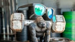 Goodr Sunglasses - OG Beast Collection (OG) -Darn Tough Shop Product 0009 Silverback 1000x d453092e adbf 4888 9597 575f8b234ba2