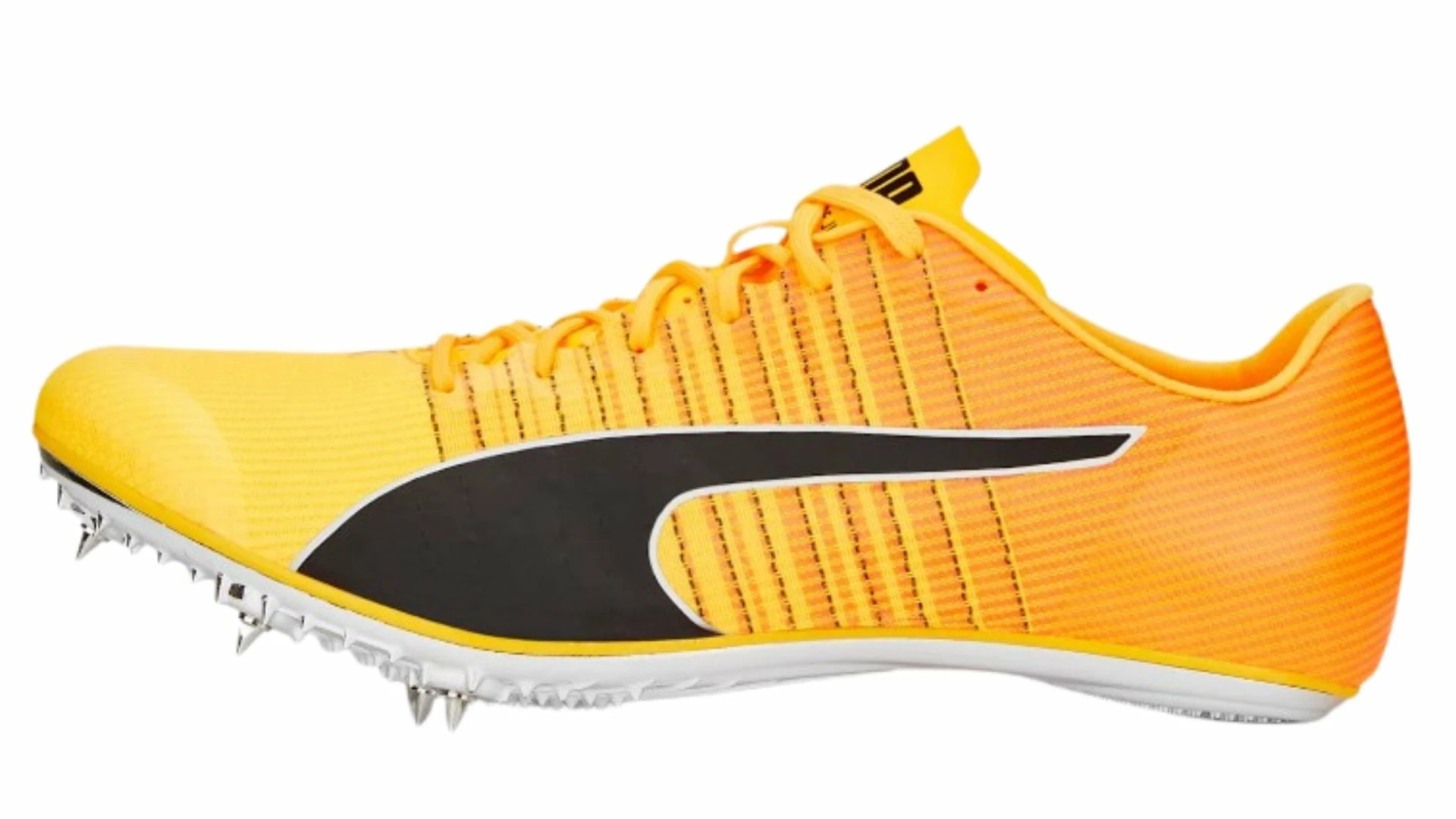 PUMA Unisex EvoSPEED Tokyo Brush 4 Track Spike 5 PUMA Unisex EvoSPEED Tokyo Brush 4 Track Spike - Image 3