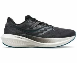 Saucony Men's Triumph 20