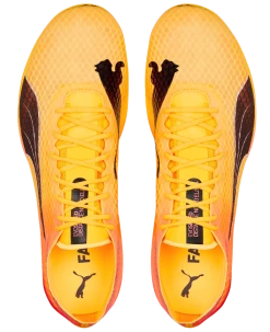 PUMA Unisex EvoSPEED Distance Nitro Elite+ 2 10 PUMA Unisex EvoSPEED Distance Nitro Elite+ 2 -Darn Tough Shop Screenshot2022 12 30134559 Edited
