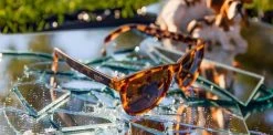 Goodr Sunglasses - Non-Reflection Perfection Collection (OG) 22 Goodr Sunglasses - Non-Reflection Perfection Collection (OG) -Darn Tough Shop bosley lifestyle product 1000x 8088658a ecc0 4eef b218 429da2adb58e