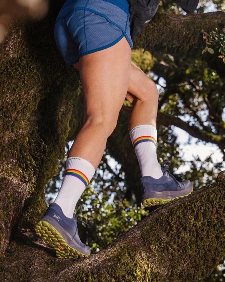 Darn Tough Women's Prism Crew Light Cushion Athletic Sock (1110) 4 Darn Tough Women's Prism Crew Light Cushion Athletic Sock (1110) - Image 2