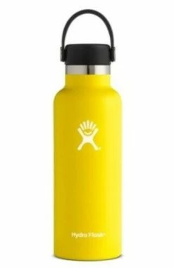 Hydro Flask 18 Oz Standard Mouth Bottles W/ Flex Cap (S18SX) -Darn Tough Shop s l500
