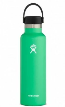 Hydro Flask 21 Oz Standard Mouth Bottles W/ Flex Cap (S21SX) -Darn Tough Shop s21sx2 spearmint