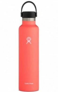 Hydro Flask 24 Oz Standard Mouth Bottles W/Flex Cap - (S24SX) -Darn Tough Shop s24sx2 hibiscus